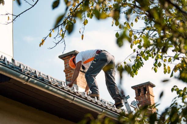 Best Local Roofing Companies  in Kenova, WV