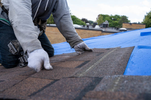 Best Metal Roofing Contractor  in Kenova, WV