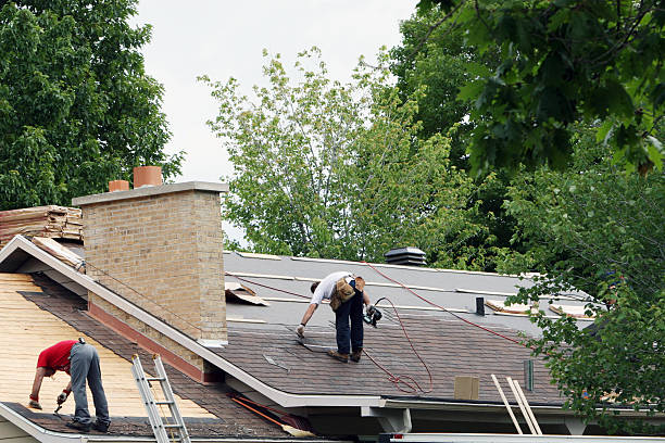 Best Roof Gutter Cleaning  in Kenova, WV