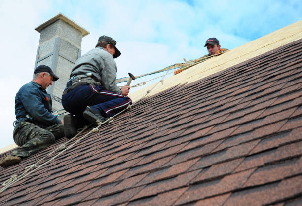 Best Roof Repair Services  in Kenova, WV
